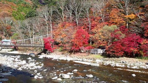 お金 の かからない デート 栃木|栃木のデートスポットまとめ！定番からちょっと変わっ .